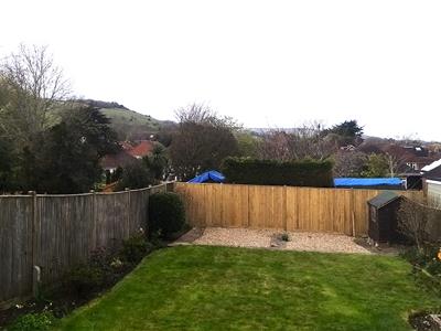 Picture 11